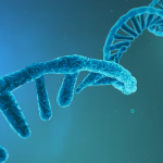 DNA Methylation: Both a Cause and a Treatment for Cancer