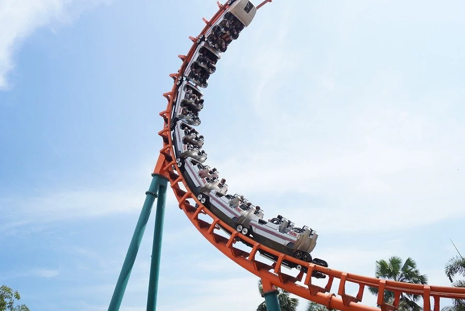 The Physics of Roller Coasters